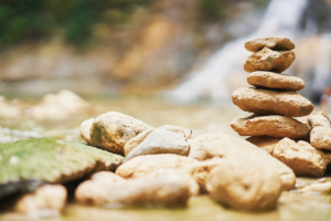 Mindfulness training